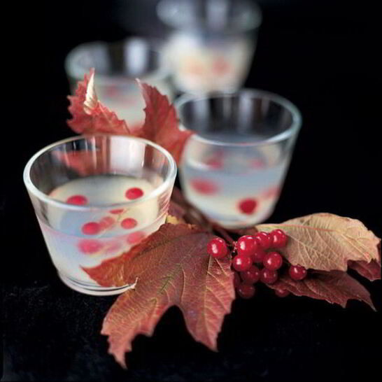 Рецепт желе с водкой и ягодами