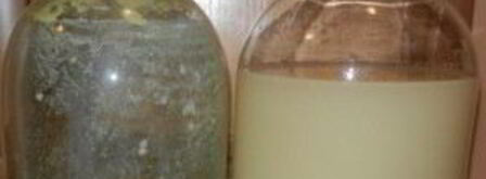 белый квас без дрожжей. Шаг 8