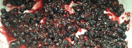 черничный квас. Шаг 3