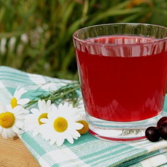 Рецепт домашнего кваса на смородине