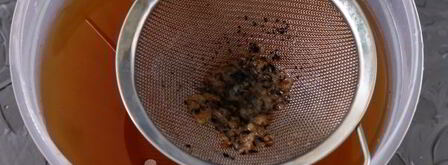 хлебный квас из березового сока. Шаг 10