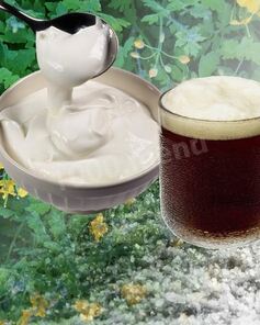 Квас из чистотела