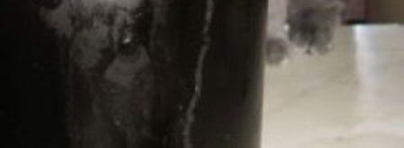 квас из концентрата. Шаг 7