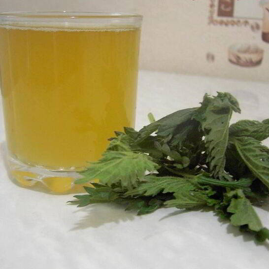 Рецепт кваса из крапивы