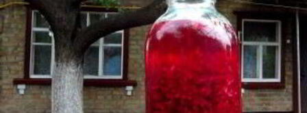 квас из красной свеклы. Шаг 4