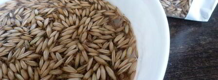 квас из овса летний. Шаг 3