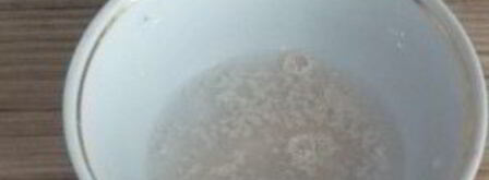 квас из сухого кваса. Шаг 4