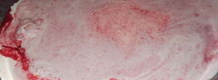 ягодно-сливочный ликер дамский каприз. Шаг 5