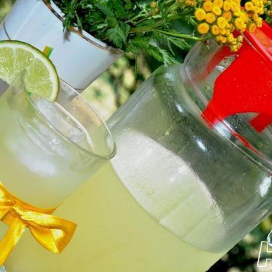 Рецепт имбирного лимонада с мятой