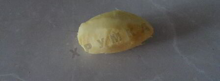 имбирный лимонад с яблоками и лимонами. Шаг 6