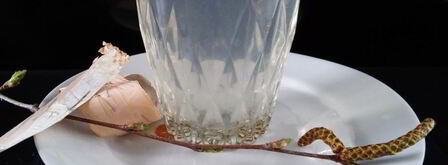 лимонад из березового сока. Шаг 6