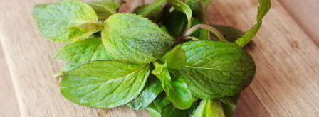 лимонад с мятой. Шаг 3