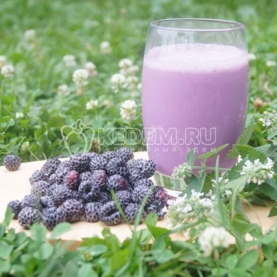 Рецепт молочно-ежевичного коктейль чудо