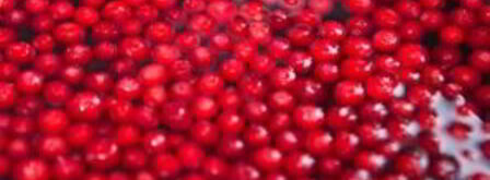 брусничный морс с медом. Шаг 3