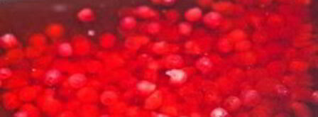 брусничный морс с медом. Шаг 5