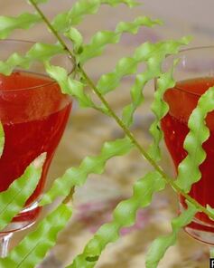 Клюквенный морс из замороженной клюквы