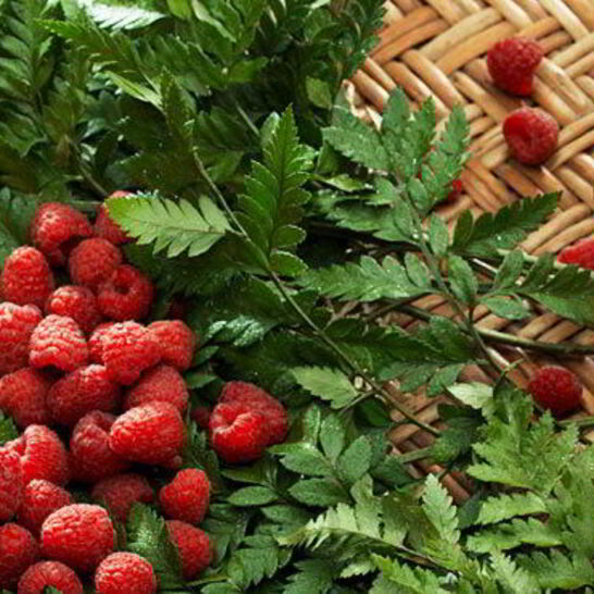 Рецепт малинового морса