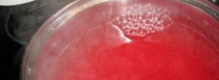 морс из замороженной смородины. Шаг 6