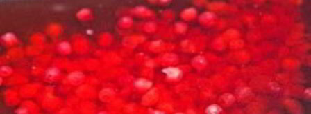 морс из замороженных ягод. Шаг 6