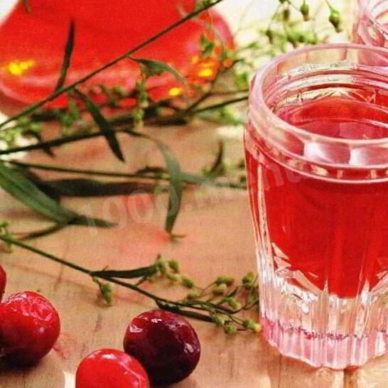 Рецепт брусничной наливки из брусники на водке