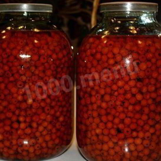 Рецепт черноплодной наливки из рябины