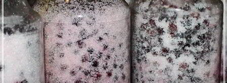 наливка черносмородиновая. Шаг 10