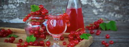 наливка из красной смородины. Шаг 10