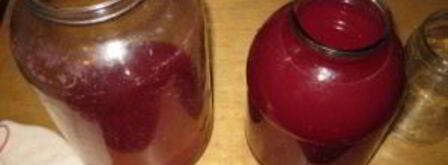 наливка из крыжовника и черной смородины. Шаг 8