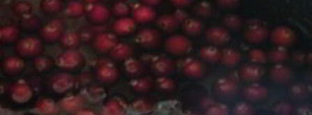 наливка в мультиварке. Шаг 4