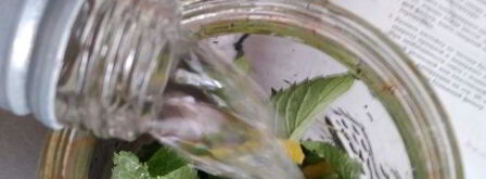 мятная настойка. Шаг 3