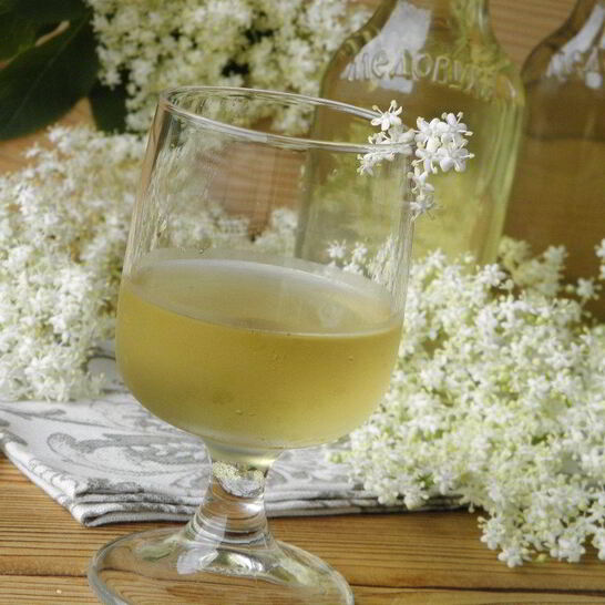 Рецепт настойки из бузины