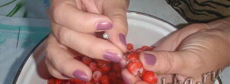 настойка из рябины. Шаг 3