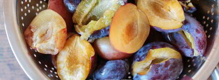 настойка на черносливе. Шаг 3