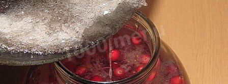 настойка на северной клюкве. Шаг 3