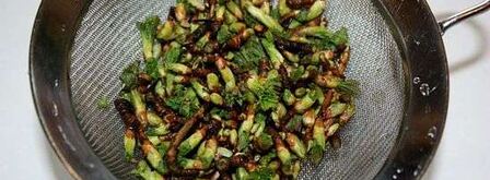 настойка на смородиновых почках. Шаг 10