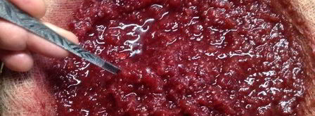 настойка несмеяновка женская. Шаг 9