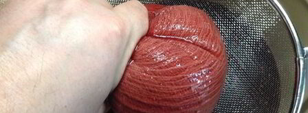 настойка несмеяновка женская. Шаг 10