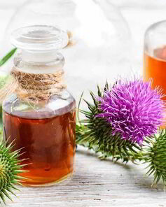 Настойка расторопши