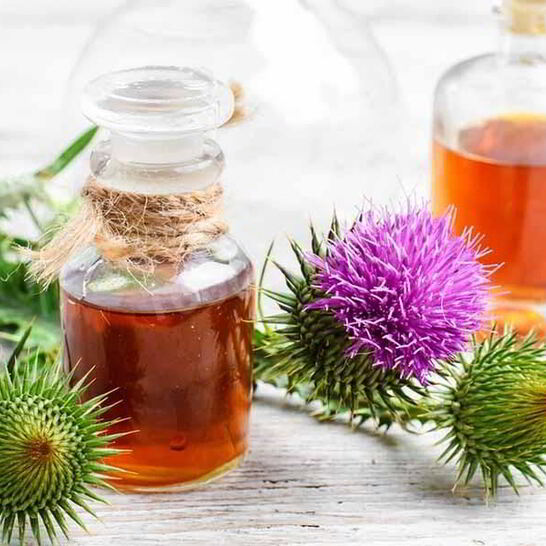 Рецепт настойки расторопши