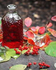 Вишневая настойка