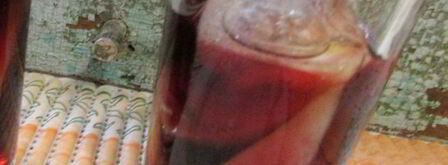 газированная сангрия с минералкой. Шаг 10