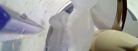 коктейль antiсангрия. Шаг 5