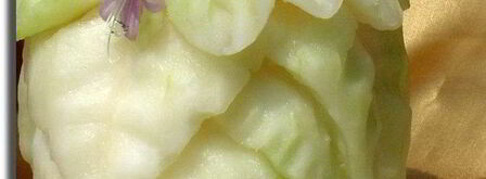 смузи магический цветок. Шаг 3