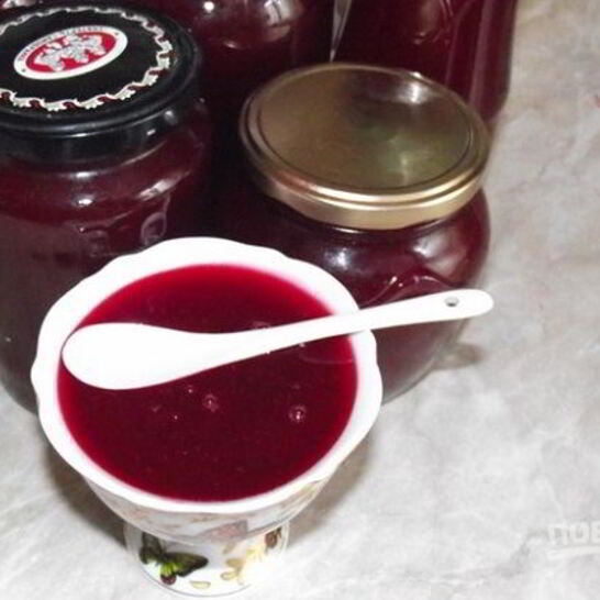 Рецепт сока из калины