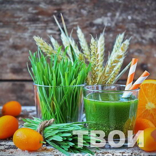 Рецепт сока из ростков пшеницы