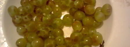 сок виноградный натуральный. Шаг 3