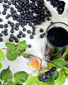 Вино из аронии