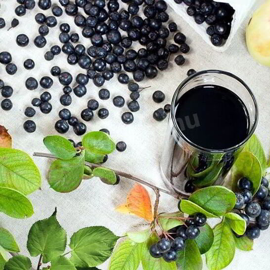 Рецепт вина из аронии