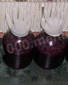 Вино из винограда северных сортов