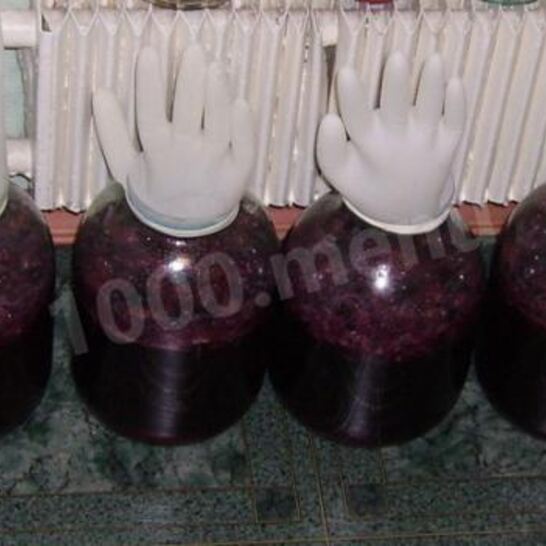 Рецепт вина из винограда северных сортов